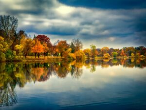Read more about the article Best Fall Road Trip Destinations in Minnesota